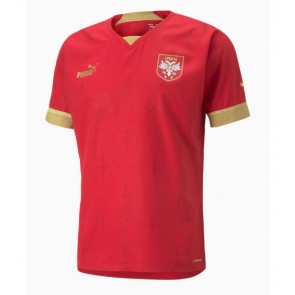 Serbia Replica Home Stadium Shirt World Cup 2022 Short Sleeve